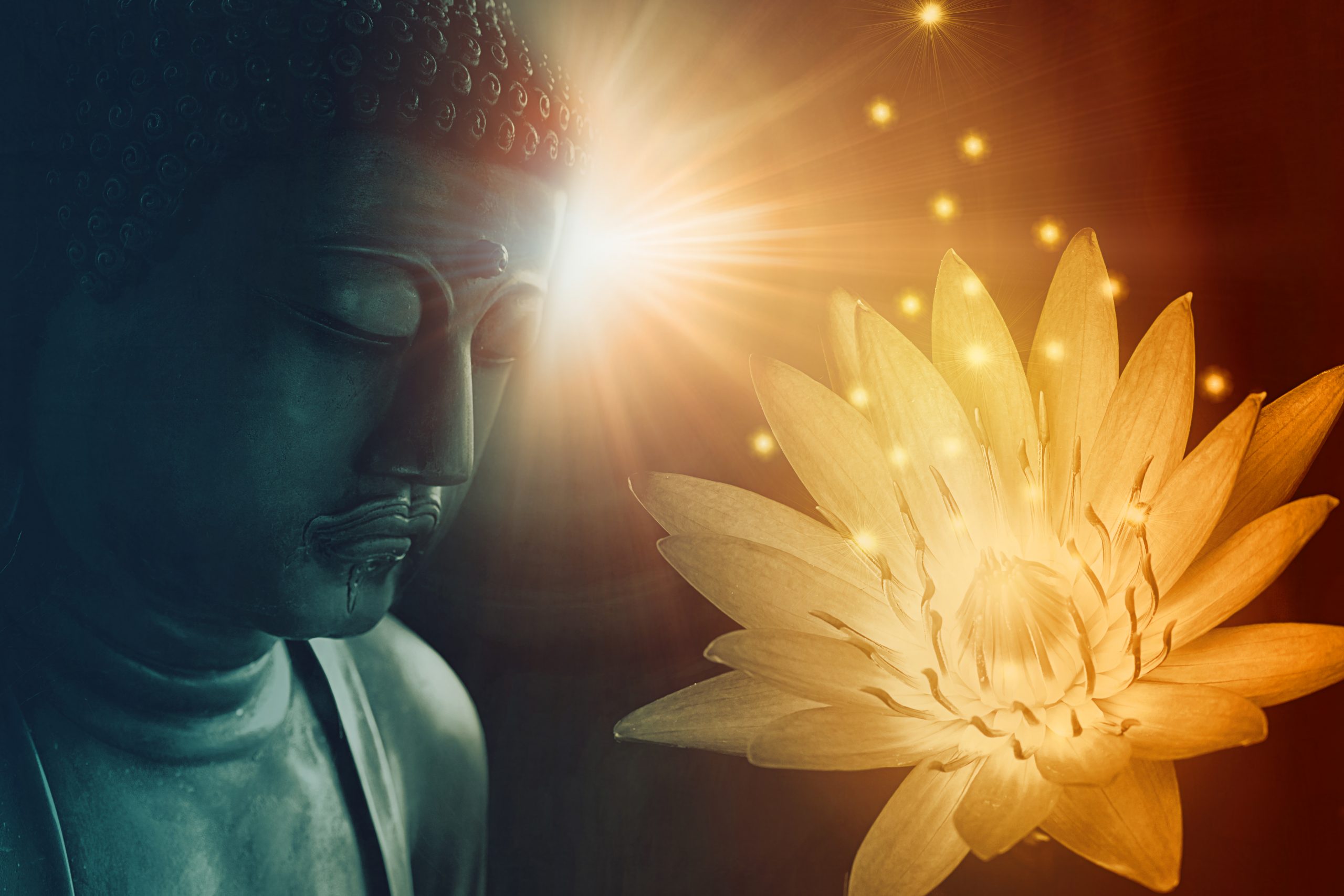 Emotional Freedom Alchemy